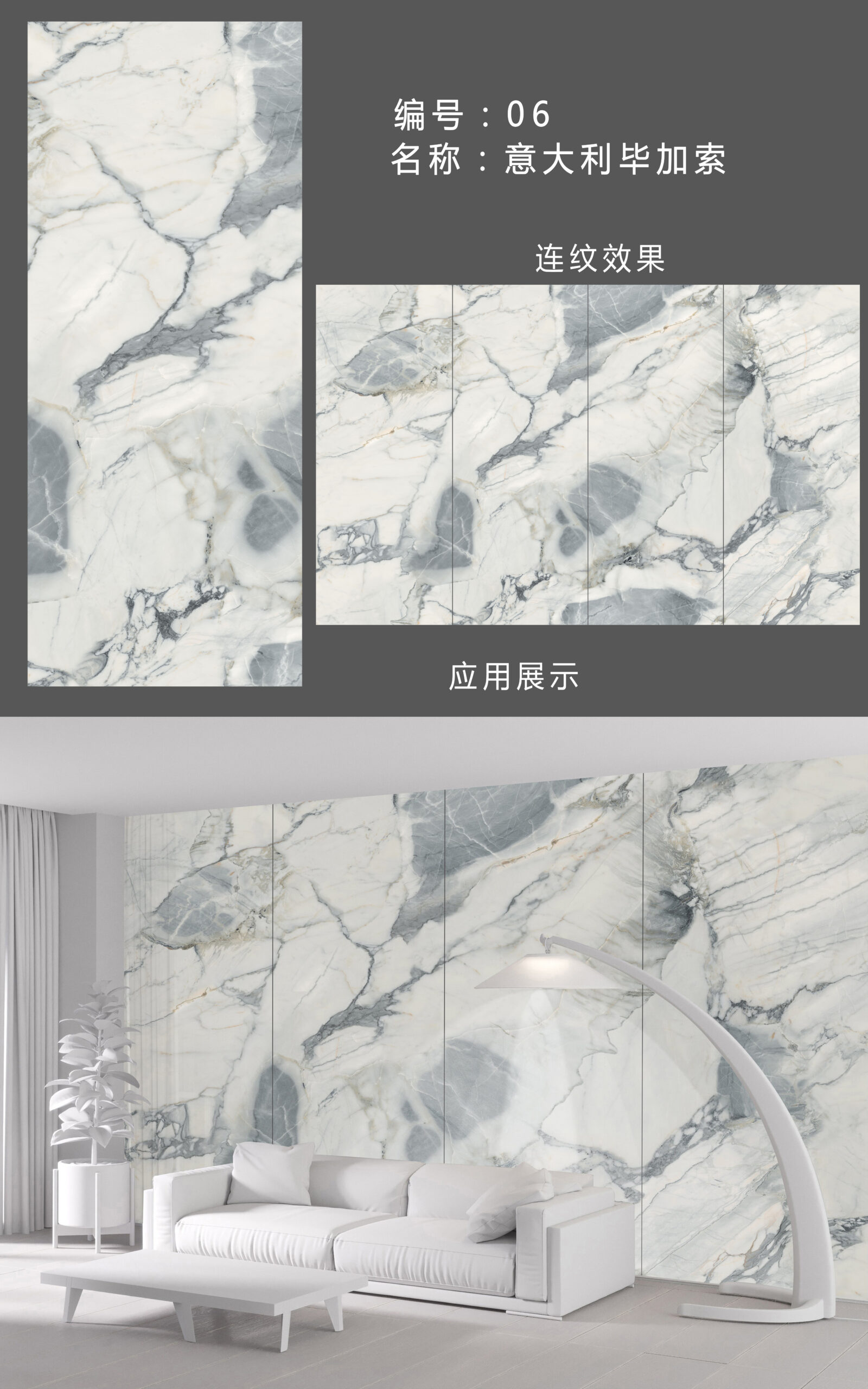 KSJ220906-意大利毕加索